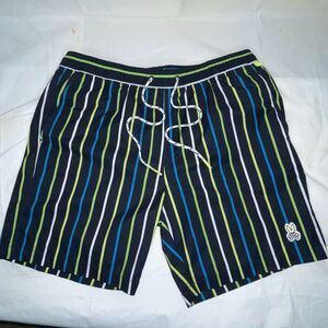 Psycho Bunny Avondale Swim Trunks Mens L Multi Striped Beach Lined Drawstring